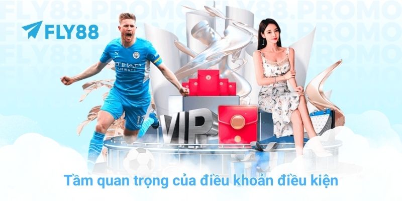 Tầm quan trọng của điều khoản điều kiện